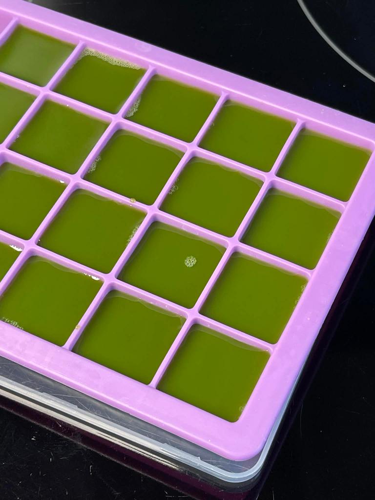 Matcha ledukai, matcha mišinys supilstytas į ledukų formeles. 