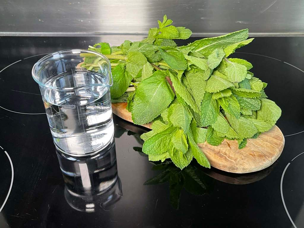 Mėtų lapelių ledukai, ingredientai