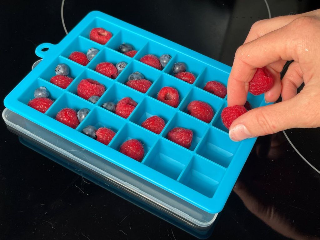 Avietės ir šilauogės dedamos į formeles gaminti ledukams